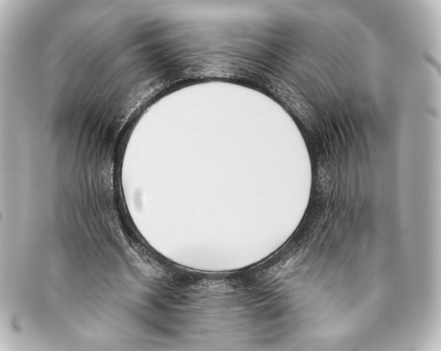 X0000094930534200712201055