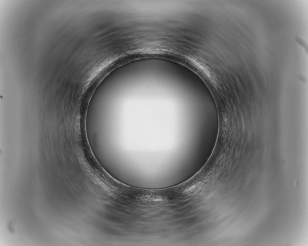 X0000094930535200712201055