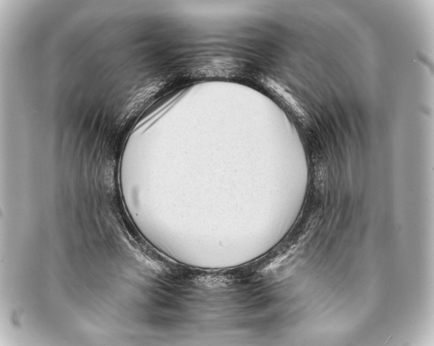X0000094930537200712201055