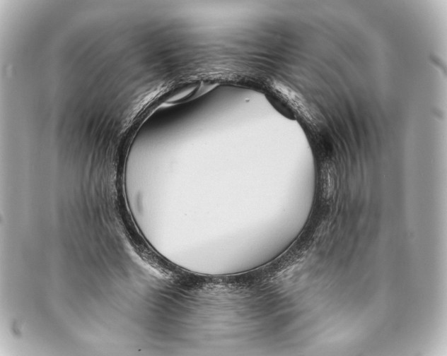 X0000094930538200712201055