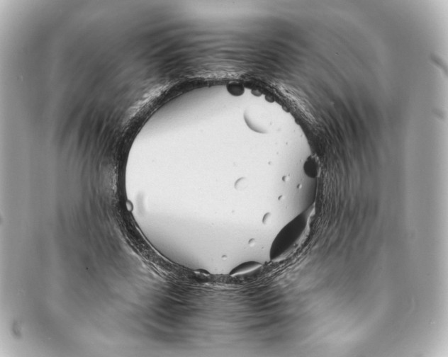 X0000094930539200712201055