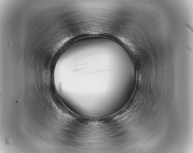 X0000094930540200712201055