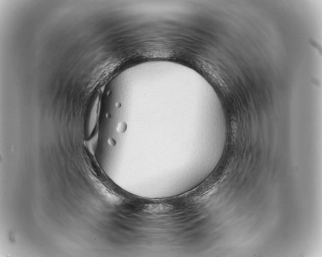 X0000094930541200712201055