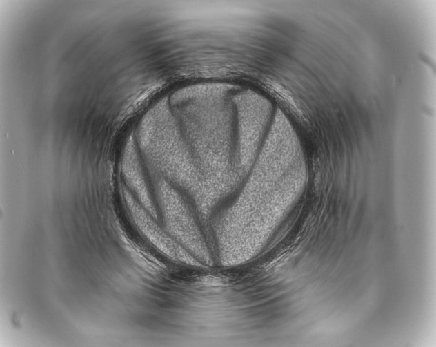 X0000094930542200712201055