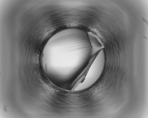 X0000094930543200712201055