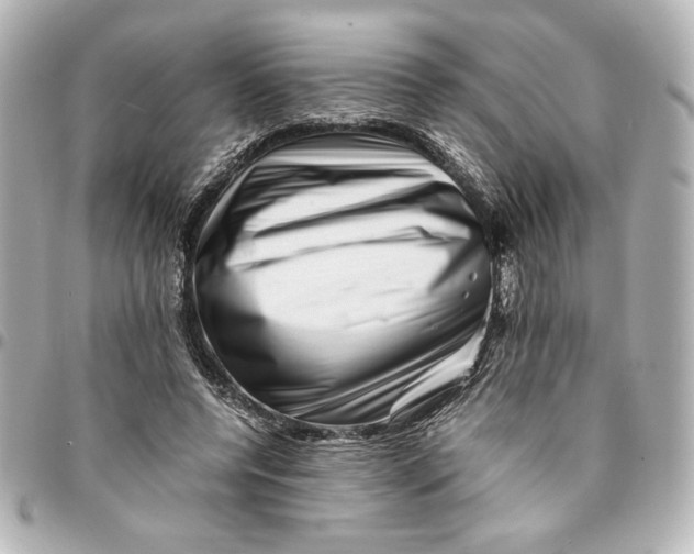 X0000094930544200712201055