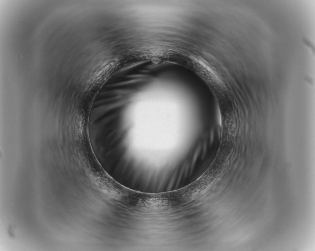 X0000094930546200712201055