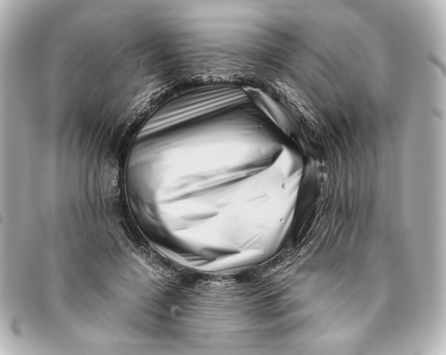 X0000094930548200712201055