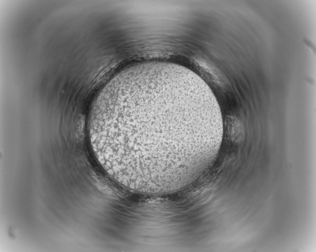 X0000094930550200712201055