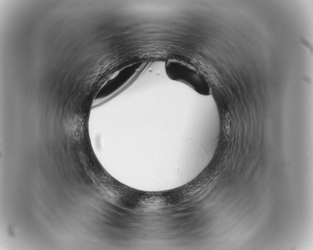 X0000094930551200712201055