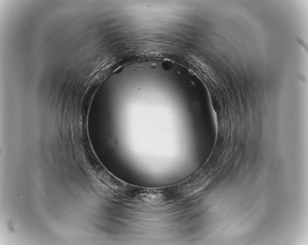 X0000094930552200712201055