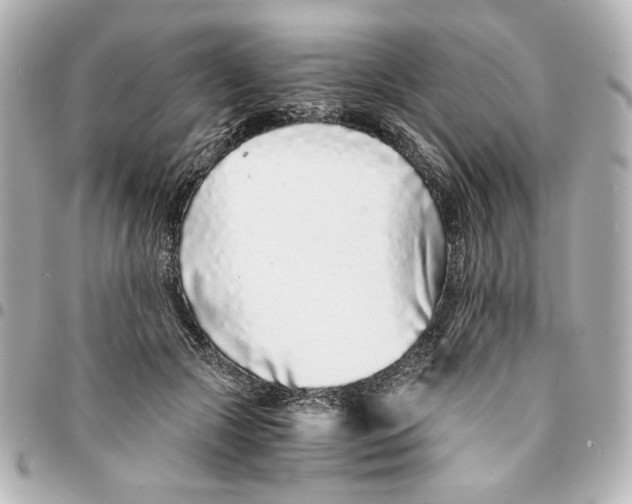 X0000094930553200712201055