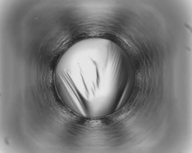 X0000094930554200712201055