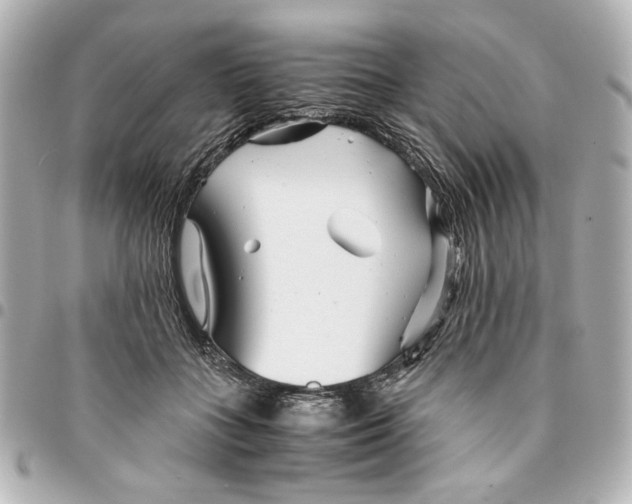 X0000094930555200712201055