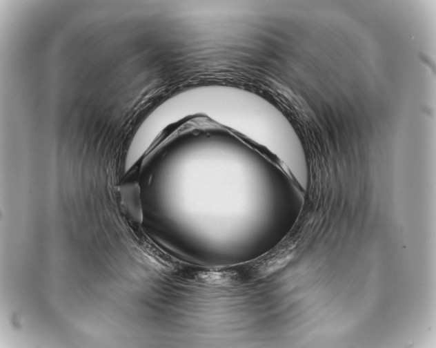 X0000094930558200712201055