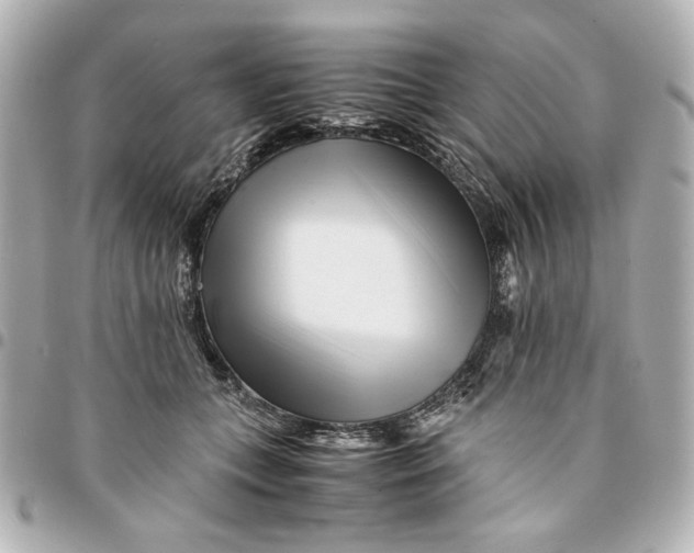 X0000094930559200712201055