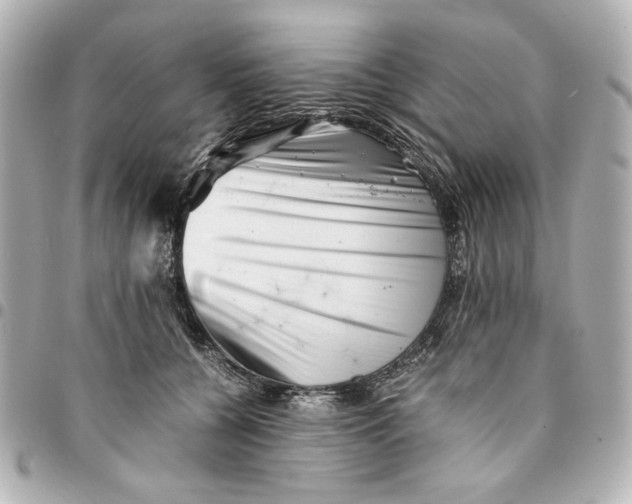 X0000094930560200712201055