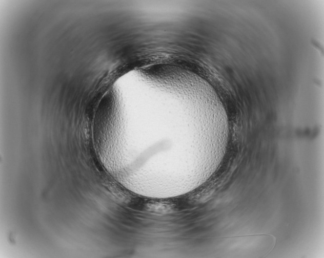 X0000094930561200712201055