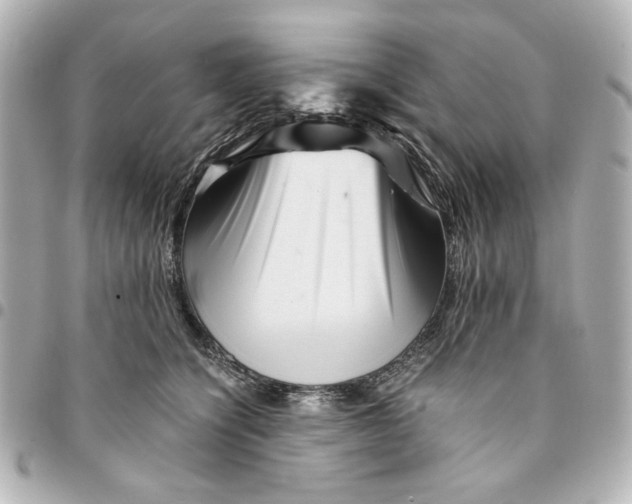X0000094930564200712201055