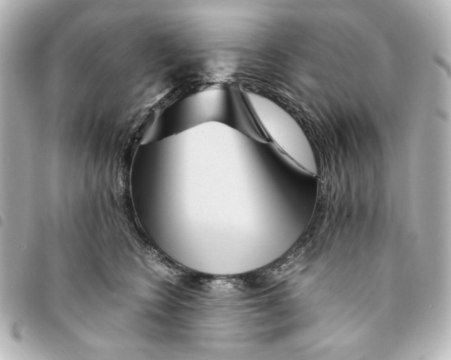 X0000094930566200712201055