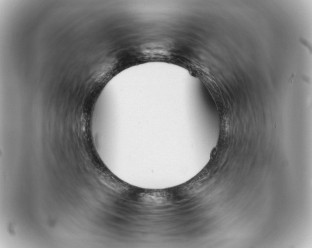 X0000094930567200712201055
