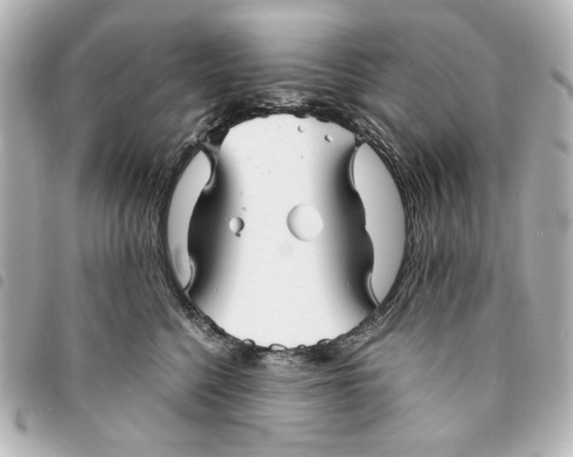 X0000094930568200712201055