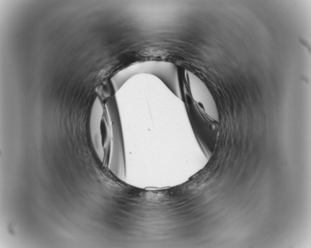 X0000094930570200712201055