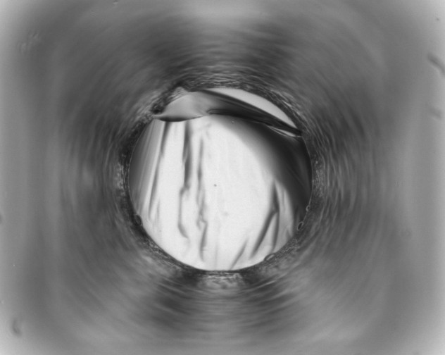 X0000094930571200712201055