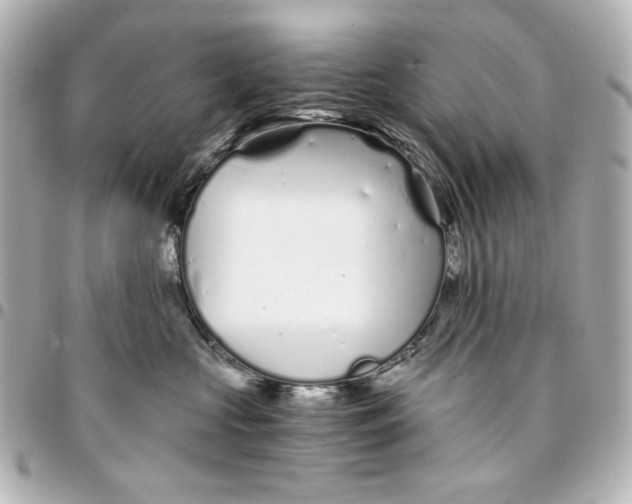X0000094930573200712201055