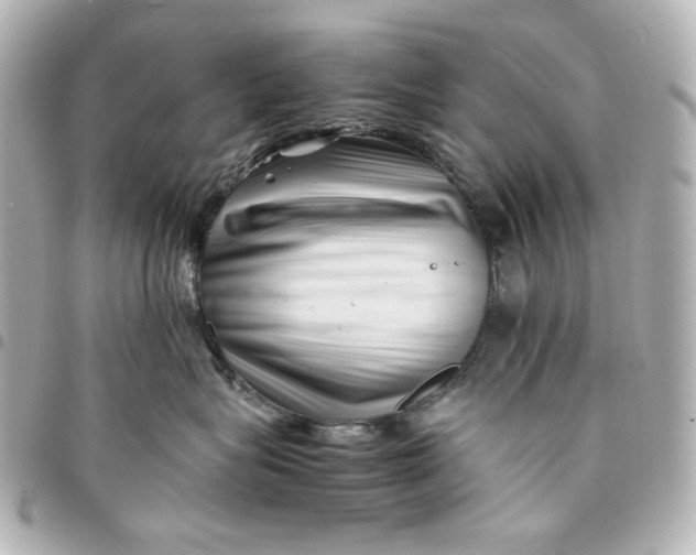 X0000094930575200712201055