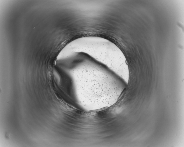 X0000094930576200712201055