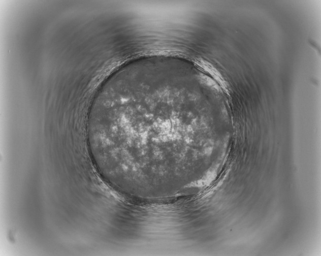X0000094930577200712201054