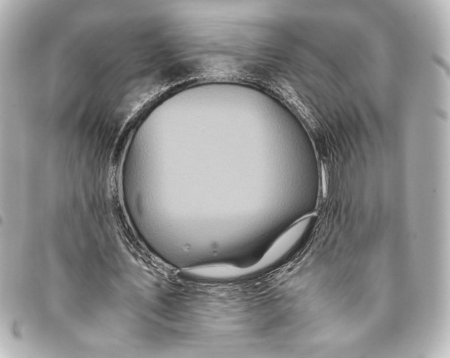 X0000094930579200712201054