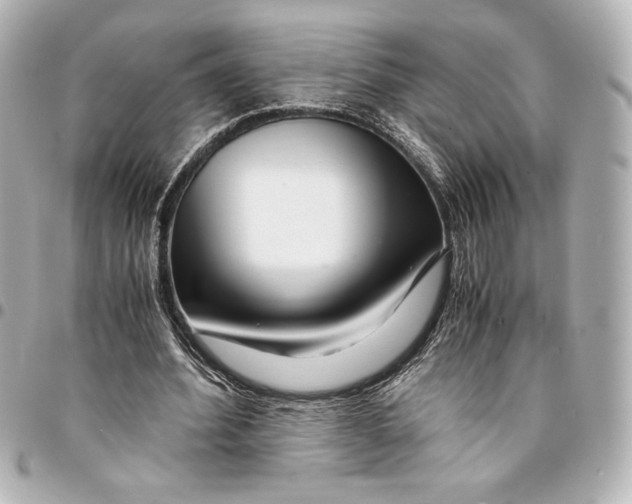X0000094930580200712201054