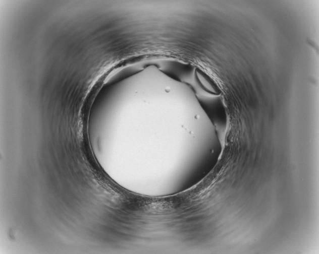 X0000094930584200712201054