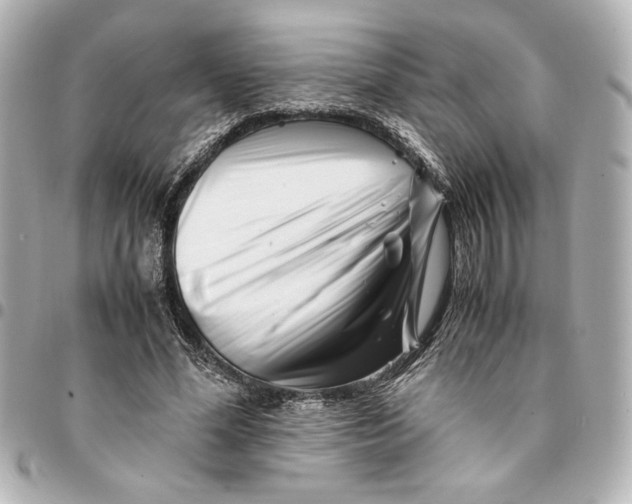 X0000094930588200712201054