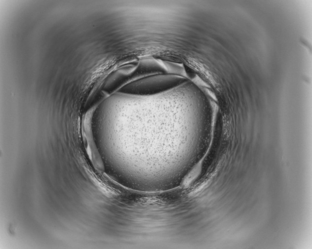 X0000094930589200712201054
