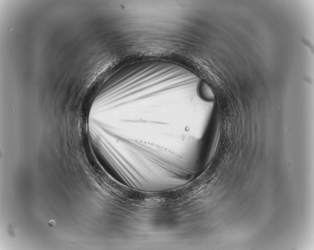 X0000094930591200712201054