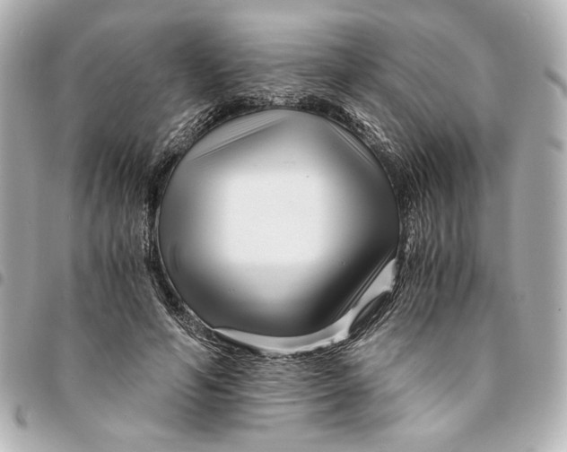 X0000094930594200712201054