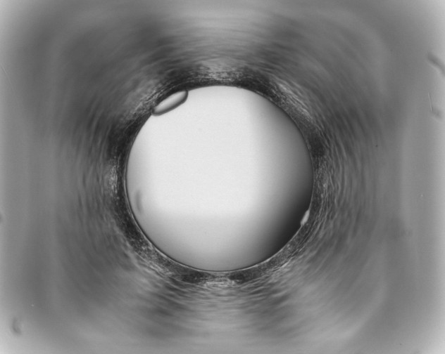 X0000094930595200712201054