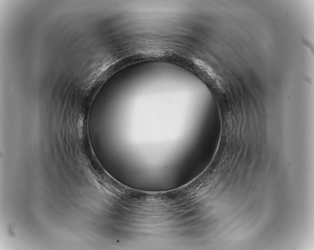 X0000094930596200712201054