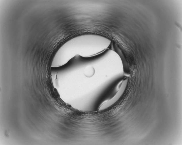 X0000094930597200712201054