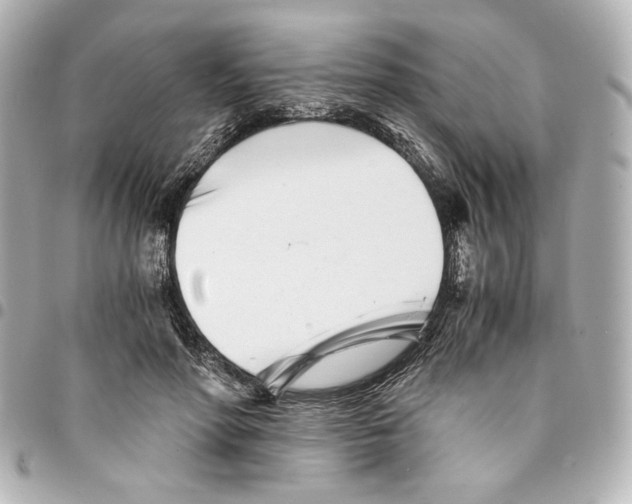 X0000094930598200712201054