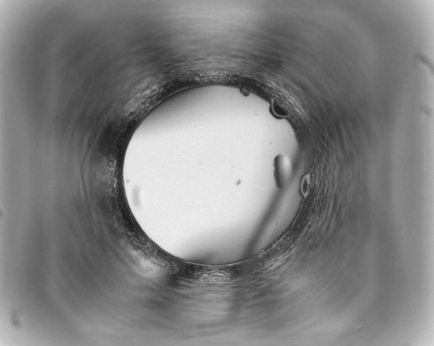 X0000094930599200712201054
