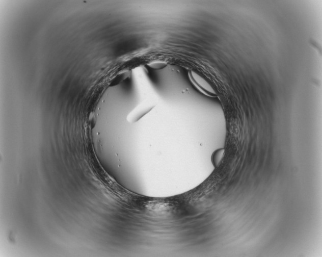 X0000094930602200712201054