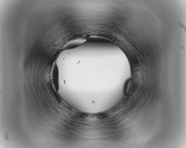 X0000094930604200712201054
