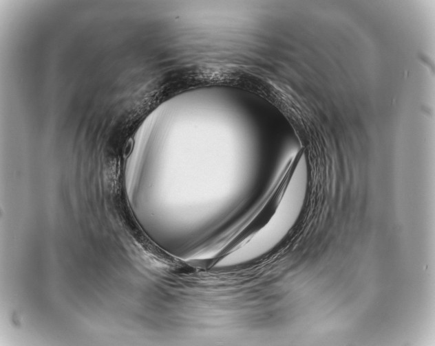 X0000094930605200712201054