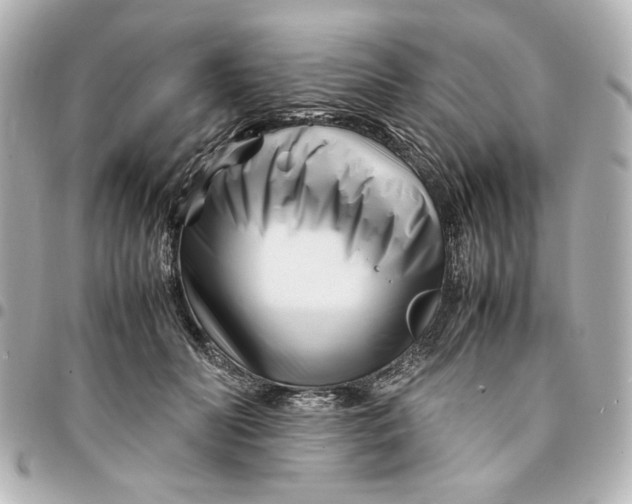 X0000094930606200712201054