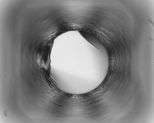 X0000094930608200712201054