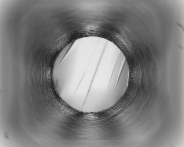 X0000094930610200712201054